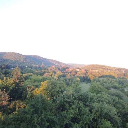 Sky Apartman Soko Banja Bagian luar foto