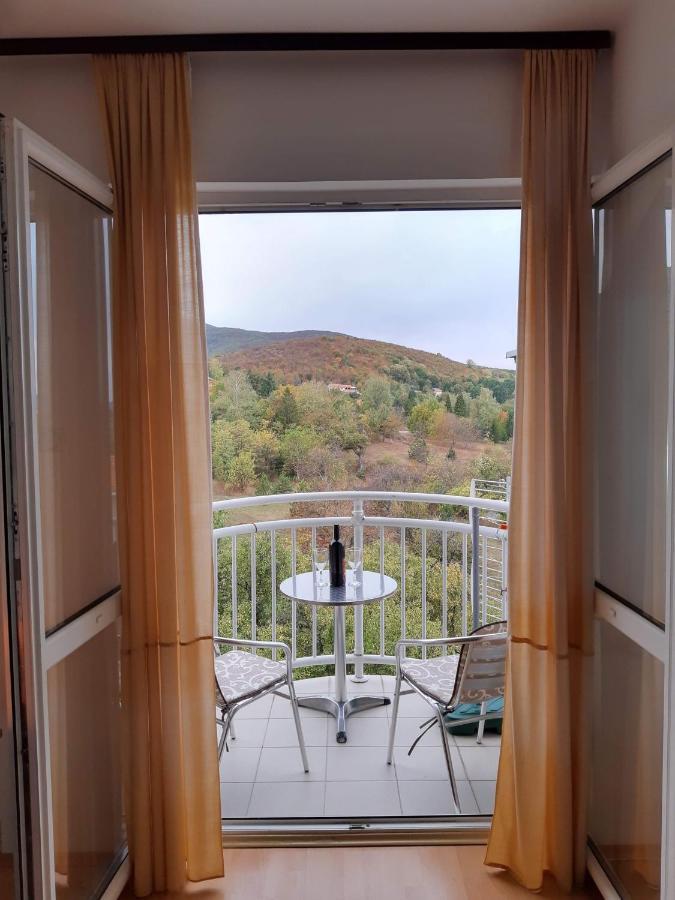 Sky Apartman Soko Banja Bagian luar foto