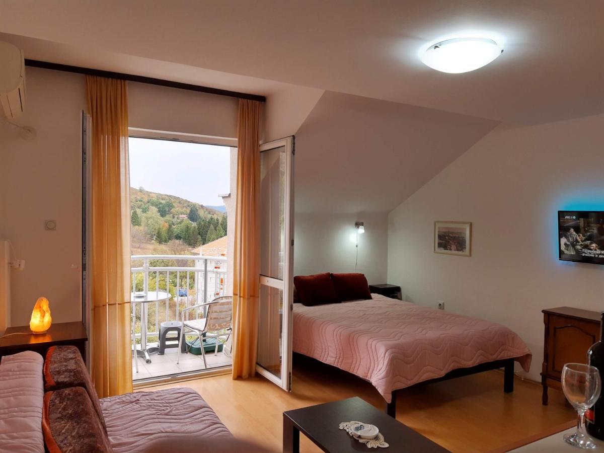 Sky Apartman Soko Banja Bagian luar foto